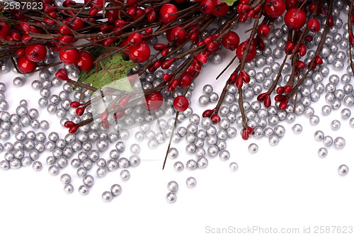 Image of Christmas border  with hawthorn 