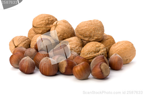 Image of nuts isolated on white background 