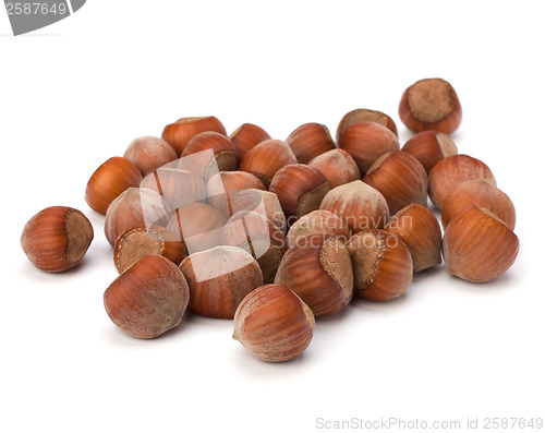 Image of hazelnuts isolated on white background