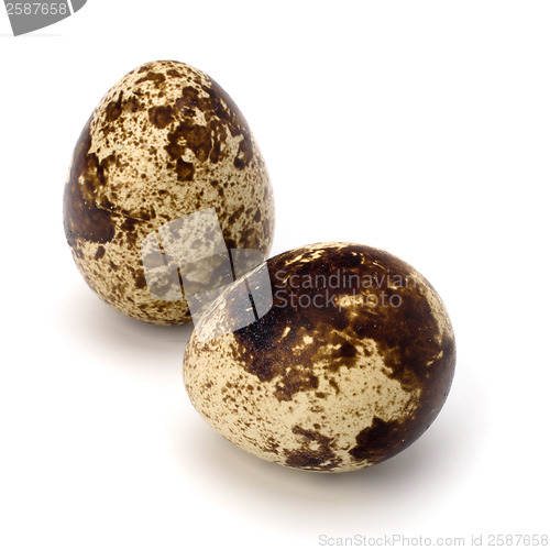 Image of quail eggs