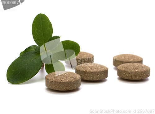 Image of herbal pills