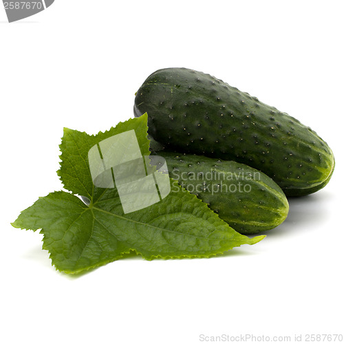 Image of cucumber
