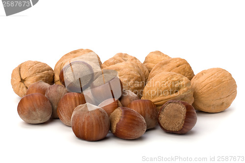 Image of nuts isolated on white background 