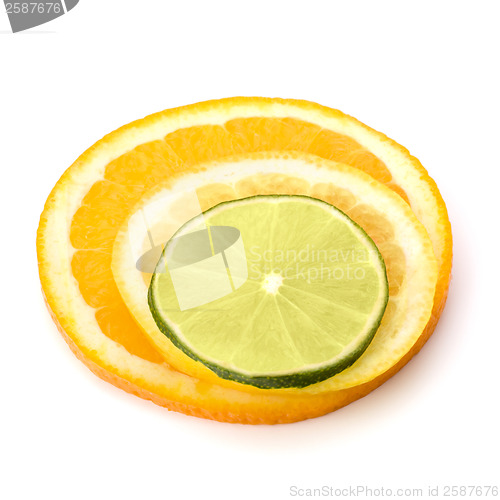 Image of Citrus fruit slices
