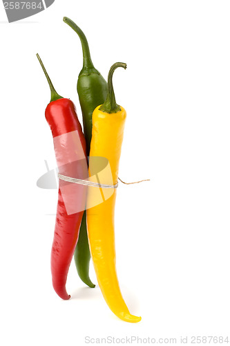 Image of Chili pepper isolated on white background