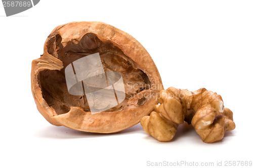 Image of walnut