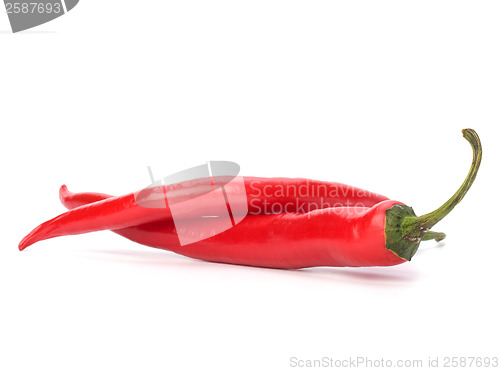 Image of Chili pepper isolated on white background