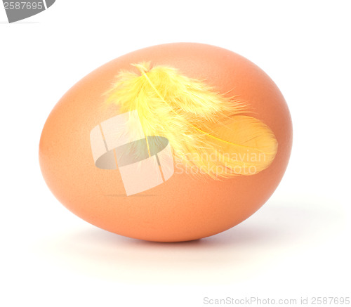 Image of Egg and feather isolated on white background. Easter decor.