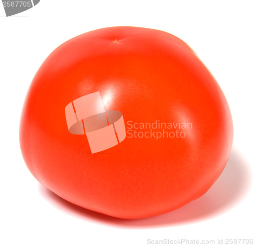 Image of single red tomato isolated  on white background 