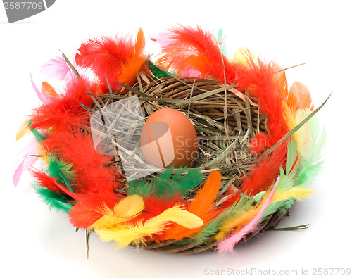 Image of easter egg in nest isolated on white background