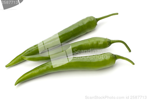 Image of Chili pepper isolated on white background