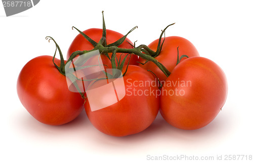 Image of red tomato isolated on the white background 