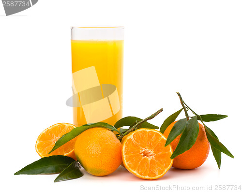 Image of Tangerines and juice glass 