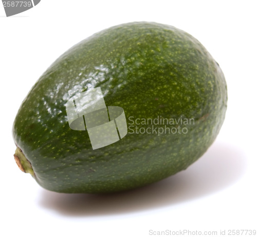 Image of avocado isolated on white