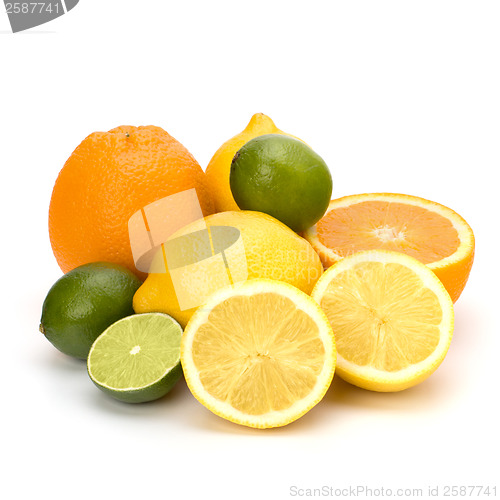 Image of Citrus fruits