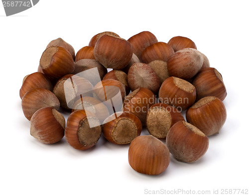 Image of hazelnuts isolated on white background