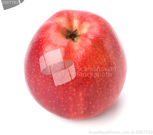 Image of red apple isolated on white background