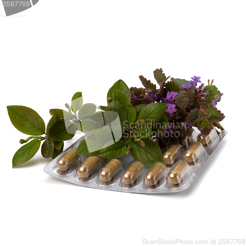 Image of herbal medicine isolated on white background 