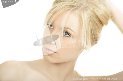 Image of Pure Beauty 3
