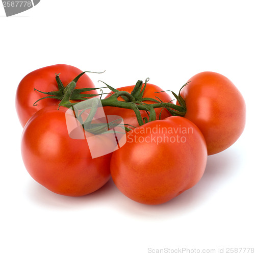 Image of red tomato isolated on the white background 