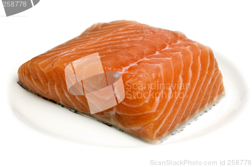 Image of salmon