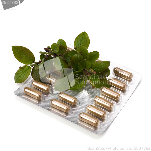 Image of herbal medicine isolated on white background 