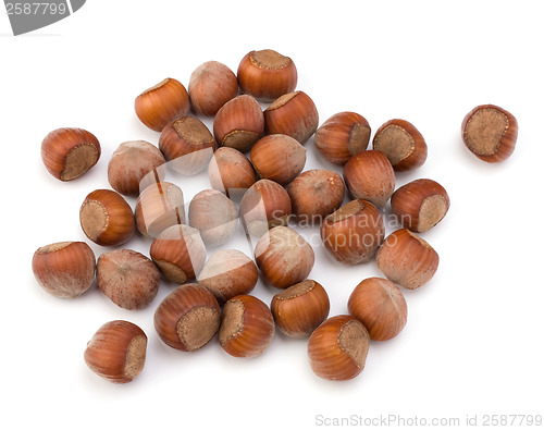 Image of hazelnuts isolated on white background