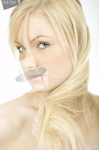 Image of Pure Beauty 3