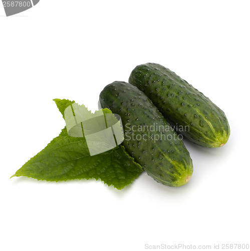 Image of cucumber