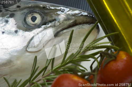 Image of salmon