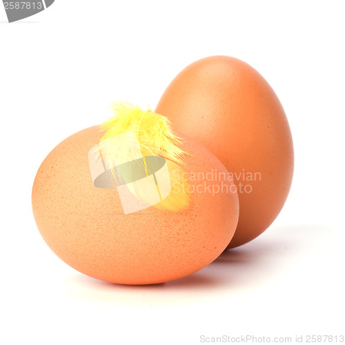 Image of eggs and feather isolated on white background