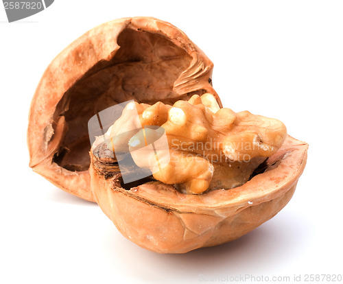 Image of walnut isolated on white background