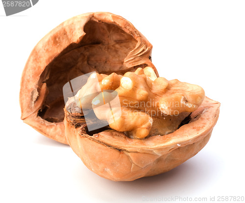 Image of walnut isolated on white background