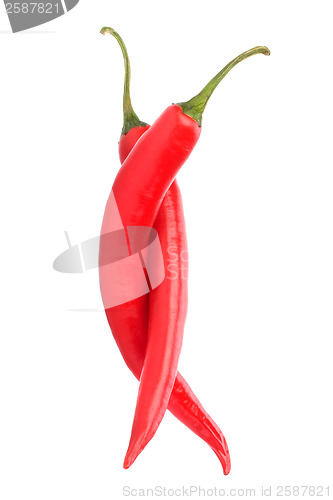 Image of Chili pepper isolated on white background