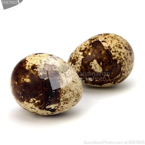 Image of quail eggs