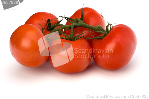 Image of red tomato isolated on the white background 