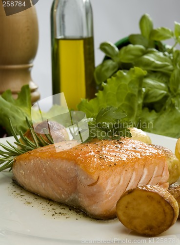 Image of salmon