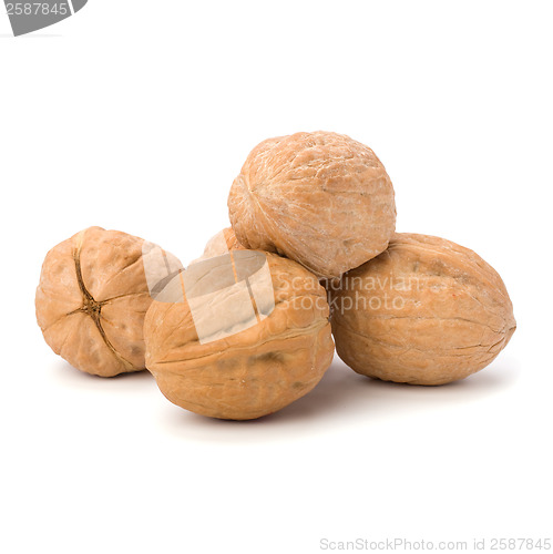 Image of  walnut