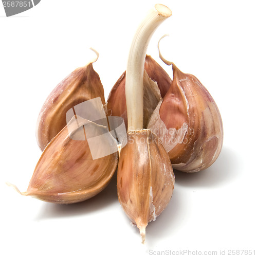 Image of garlic isolated on white