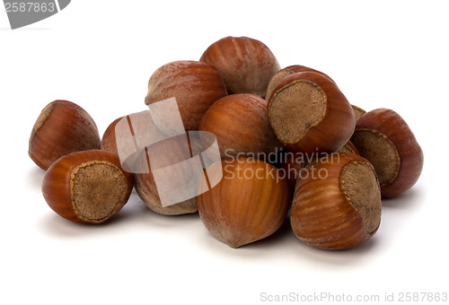 Image of hazelnuts isolated on white background