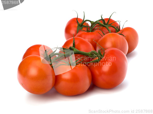 Image of red tomato isolated on the white background 