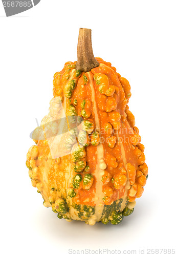 Image of Decorative pumpkin 