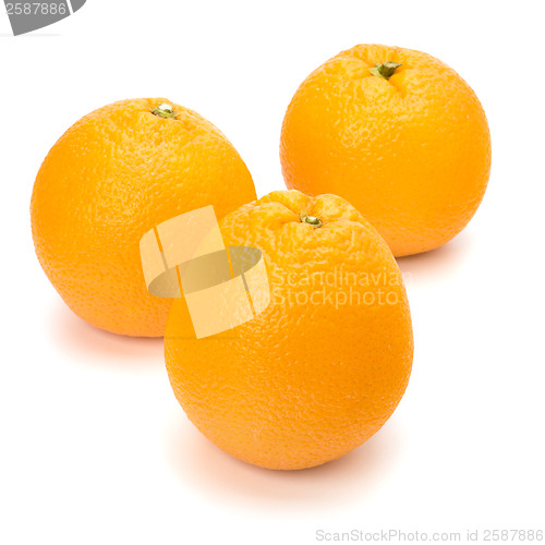 Image of Orange