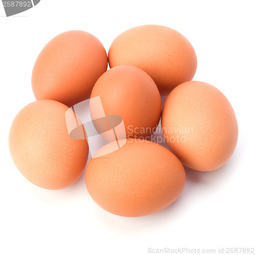 Image of eggs isolated on white background