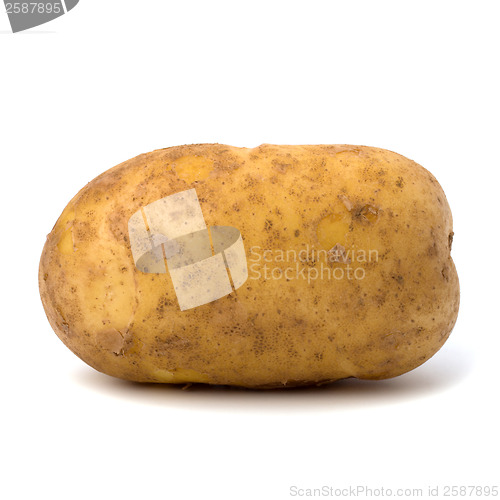 Image of potato