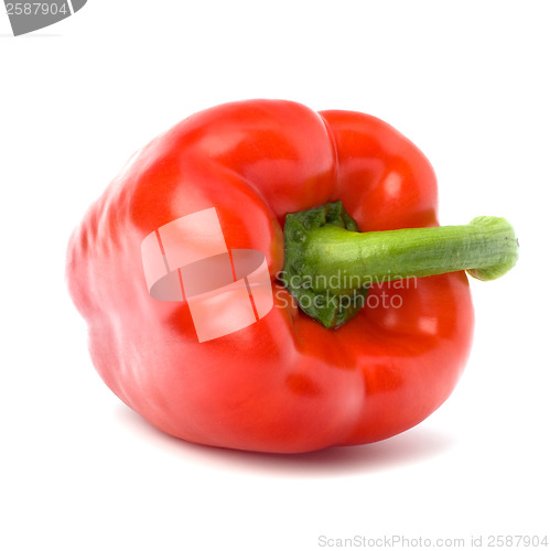Image of pepper isolated on white background