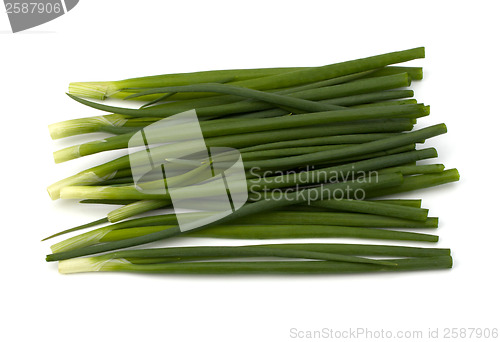 Image of spring onion 