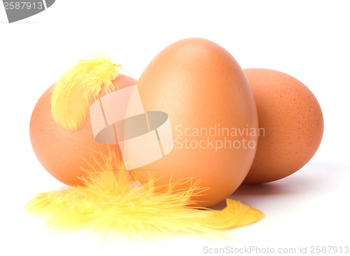 Image of Eggs and feather isolated on white background. Easter decor.