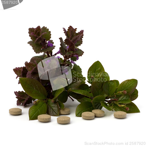 Image of herbal medicine isolated on white background 