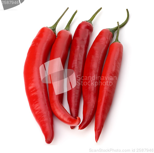 Image of Chili pepper isolated on white background